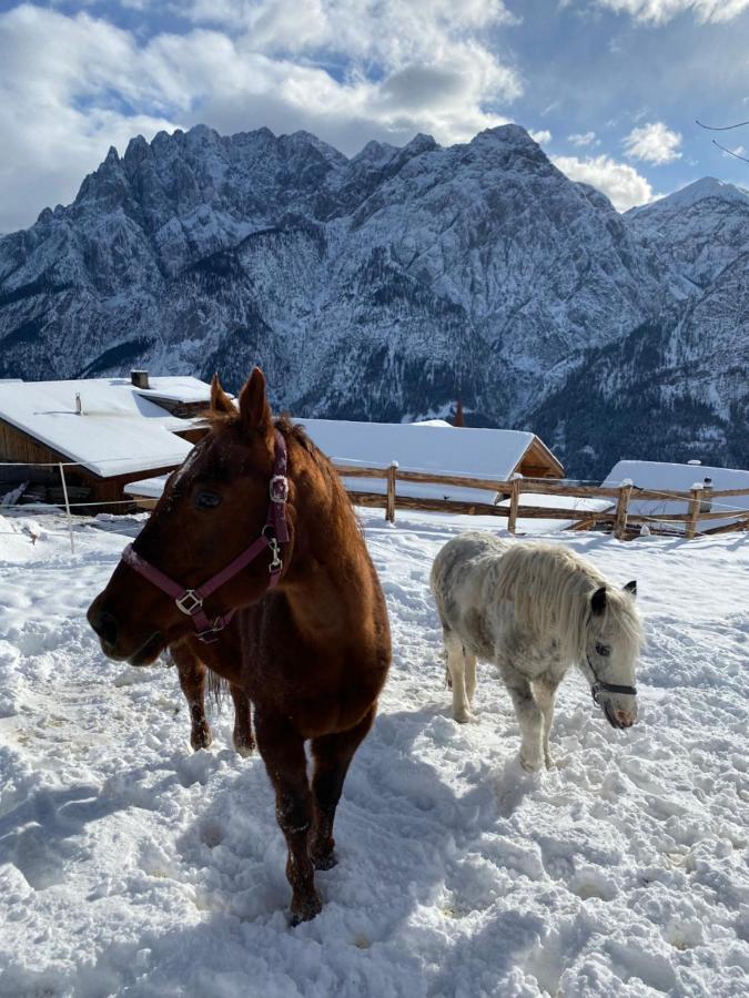 Southern Stables Ranch Bannberg Екстериор снимка