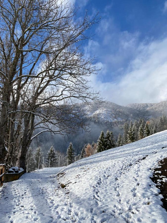 Southern Stables Ranch Bannberg Екстериор снимка